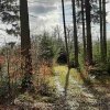 03 bei Waldhausen - Schättere-Trasse